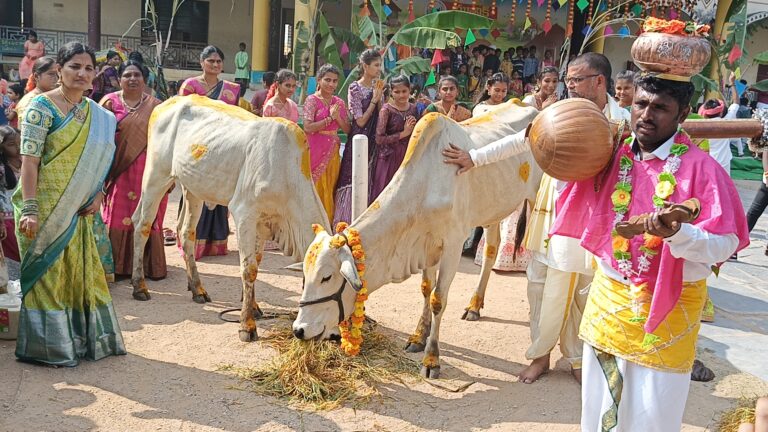 Festival Celebration